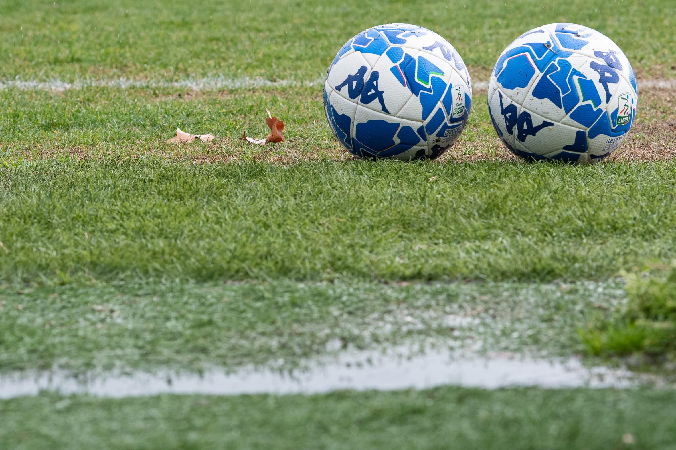 Training schedule: open doors Tuesday, test match with Cremonese on March 25