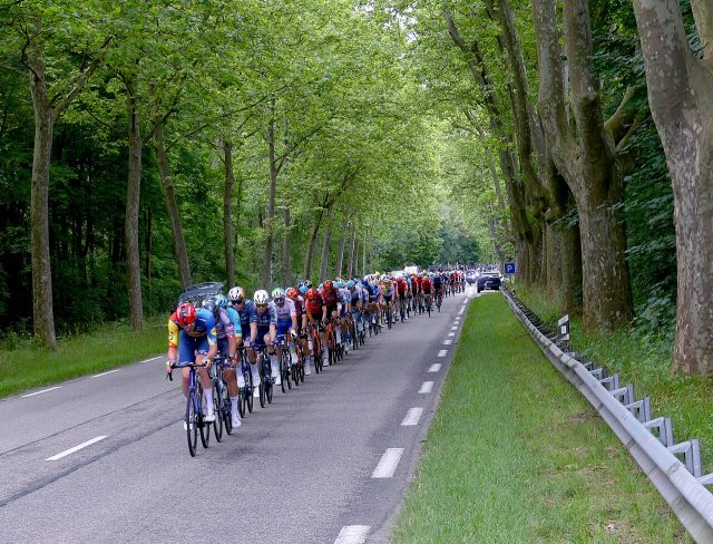 Il gruppo del Tour de France durante una tappa su strada