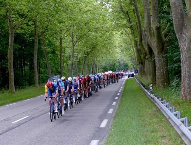 Il gruppo del Tour de France in una tappa su strada