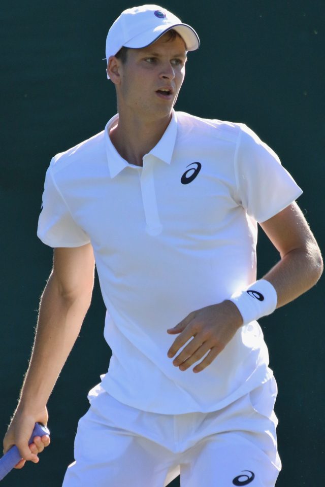 Hubert Hurkacz in campo sull erba di Wimbledon